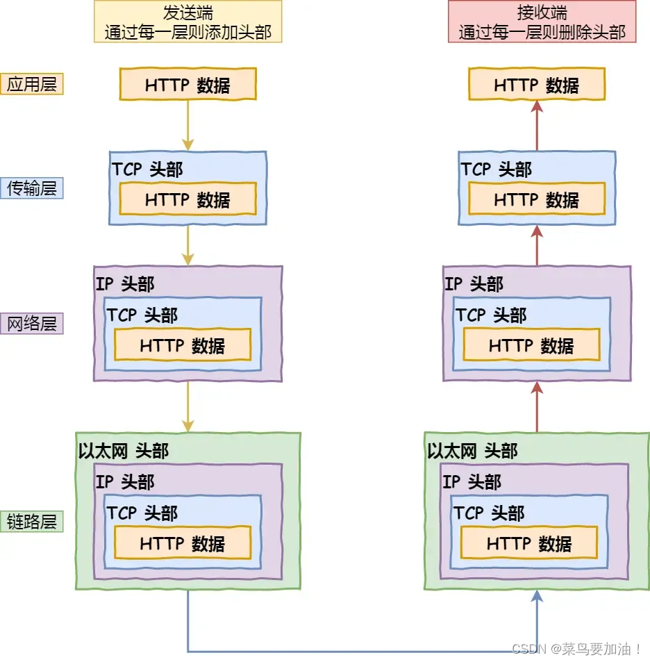 当键入网址后，到网页显示，其间发生了什么