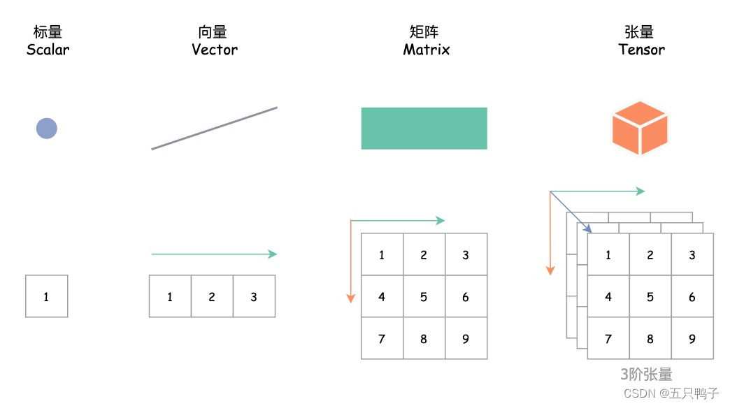 张量、向量、标量、矩阵关系图