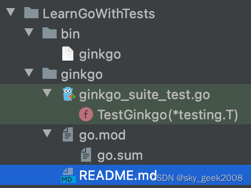 【Go学习】Ginkgo测试框架学习实践 + 问题记录 + 怎么解决（0）