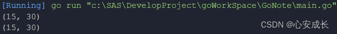 Golang 开发实战day14 - Reciver <span style='color:red;'>Functions</span> with <span style='color:red;'>Pointers</span>