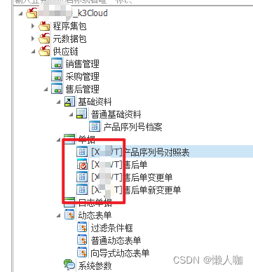 金蝶云星空执行部署包后业务对象会被标记上部署包的开发码