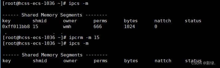 Linux之进程间通信