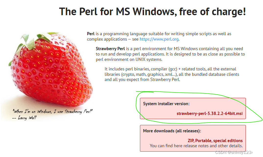 windows 如何安装 perl ?