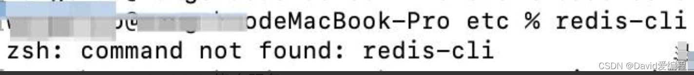Mac本上快速搭建redis服务指南