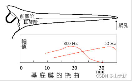 人耳的听觉特性