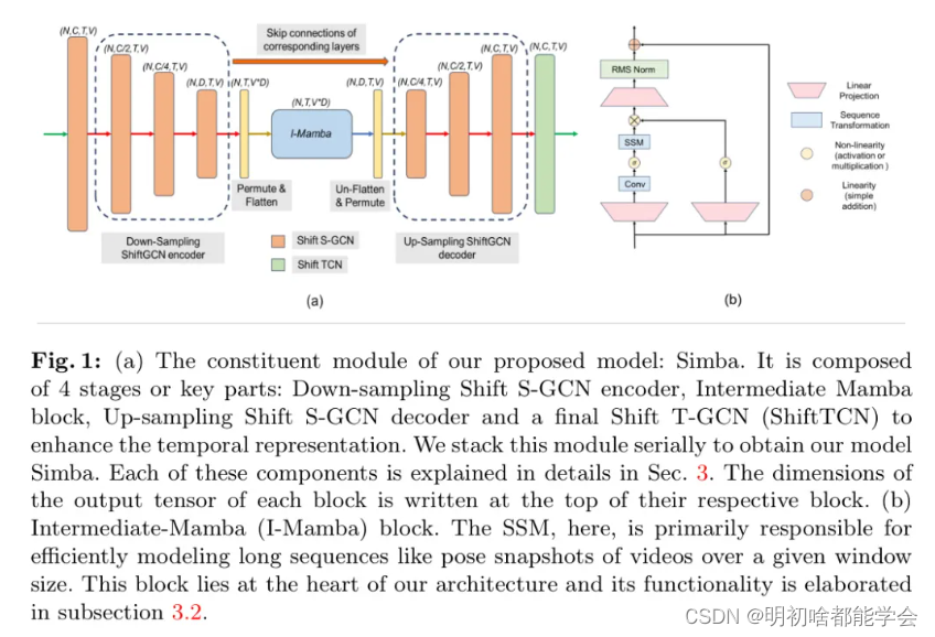 Simba：Mamba 增强了 U-ShiftGCN，用于视频中的骨骼动作识别