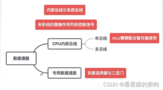 计算机组成原理-CPU数据通路（单总线结构和专用通路结构）