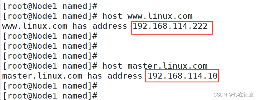 Linux DNS域名解析实验