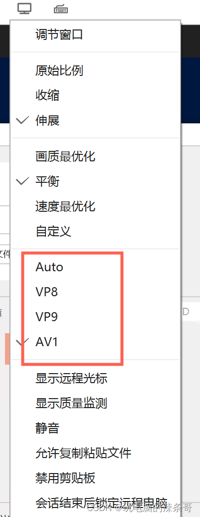 Rustdesk 中VP8 / VP9 / AV1 是什么？