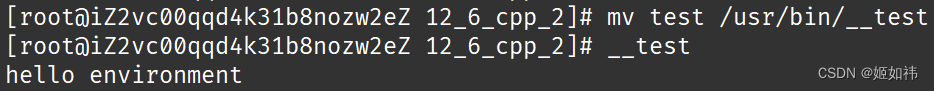 Linux <span style='color:red;'>环境</span><span style='color:red;'>变量</span> <span style='color:red;'>与</span> <span style='color:red;'>命令</span>行参数