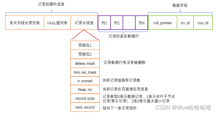 图6 数据行