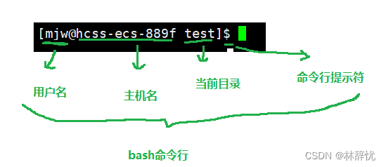 Linux修炼之路之基础指令(2)+shell命令及运行原理