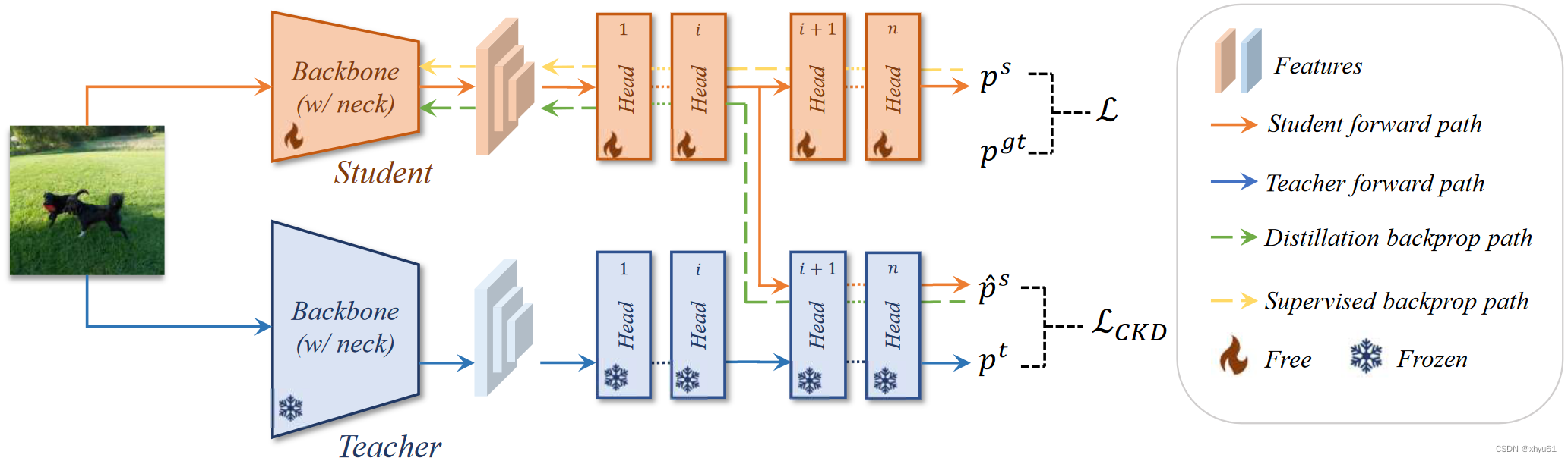 【论文笔记】CrossKD: Cross-Head Knowledge Distillation for Object Detection