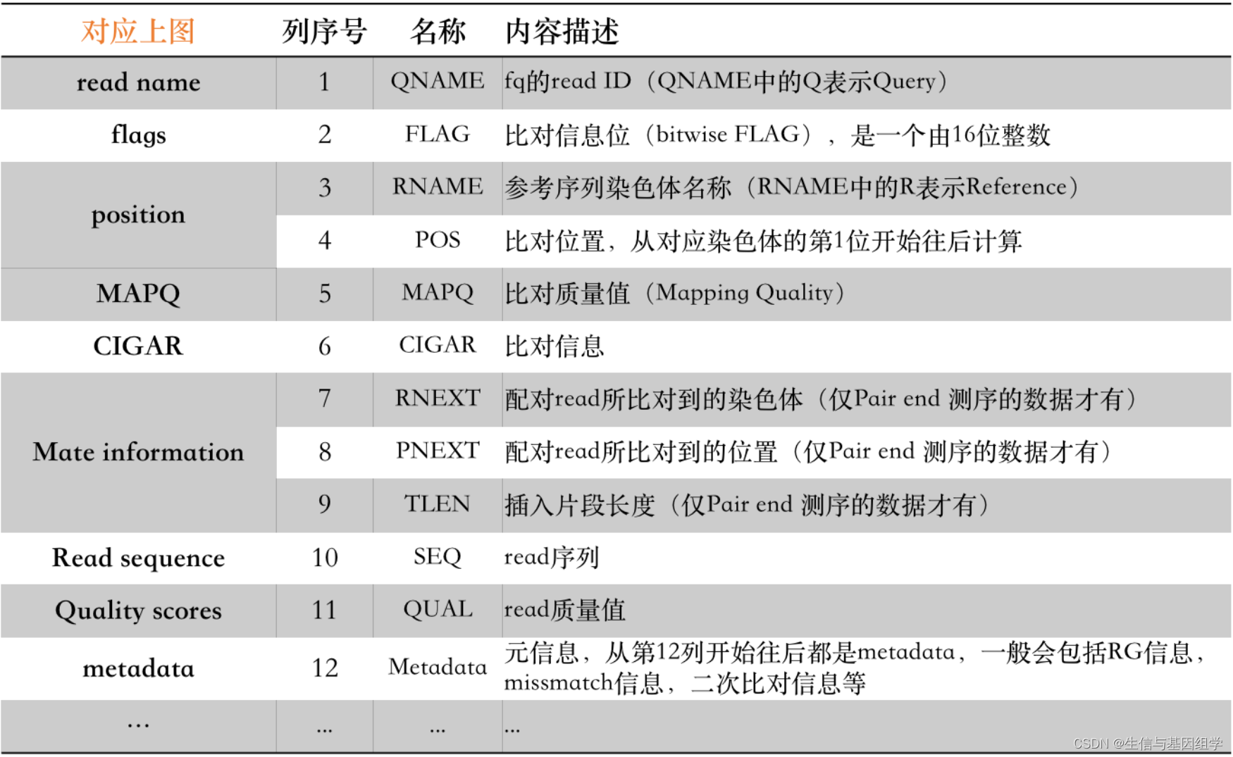 record各部分内容含义