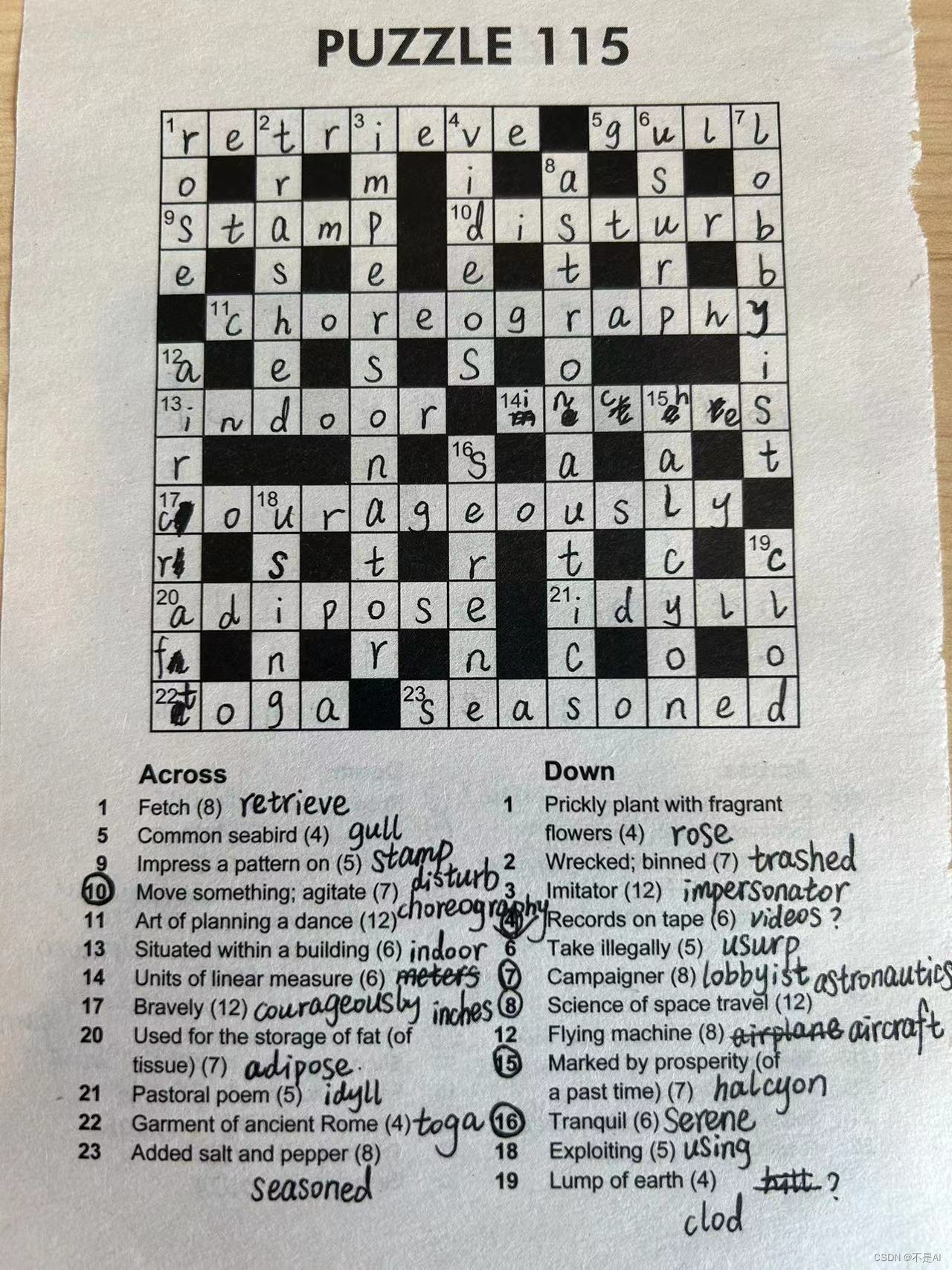 【英语趣味游戏】填字谜（Crossword）第2天