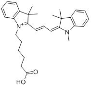 利用CY3-COOH的羧基官能团标记蛋白质-星戈瑞