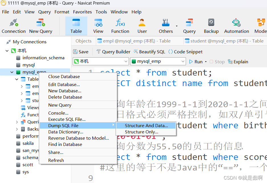 JavaWeb——MySQL：navicate客户端工具简单使用