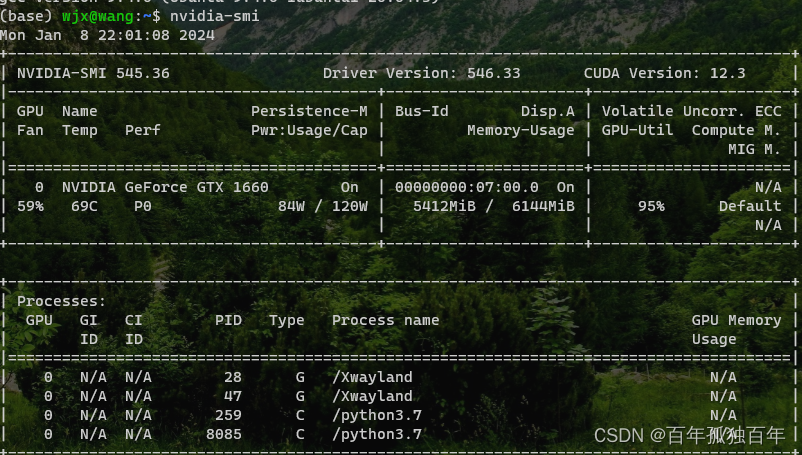 WSL使用Ubuntu 20.04版本运行py-bottom-up-attention的记录，及其可能错误的解决方法