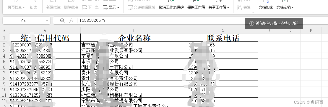 excel 设置密码保户