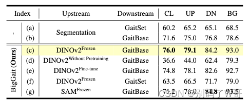 BigGait: Learning Gait Representation You Want by Large Vision Models阅读笔记