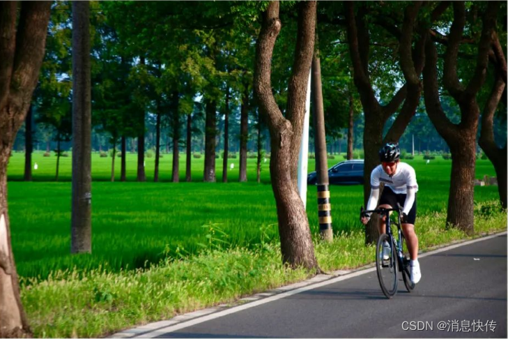 上海周边公路骑行路线分享，维乐带你抓住秋天的小尾巴