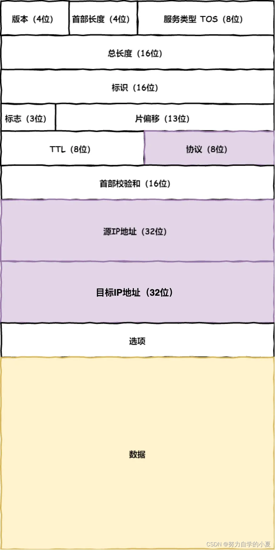 IP 报文头部