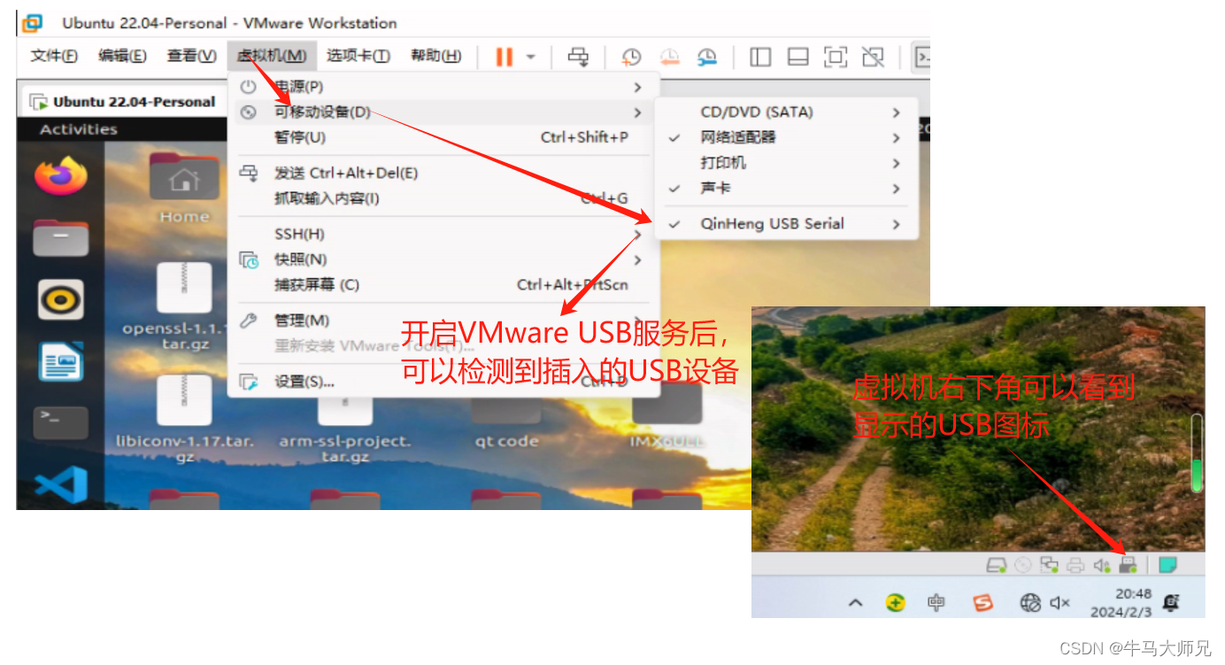 VMware无法检测到插入的USB设备，虚拟机插拔USB无反应