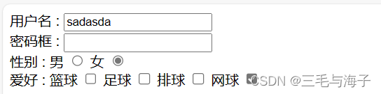 前端 - 基础 表单标签 - 表单元素 input - (name Value checked maxlength ）属性详解