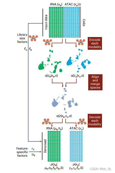 fig1