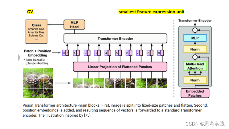 如何理解token在各个领域CV、NLP、TSF？#Tokens in Deep Learning