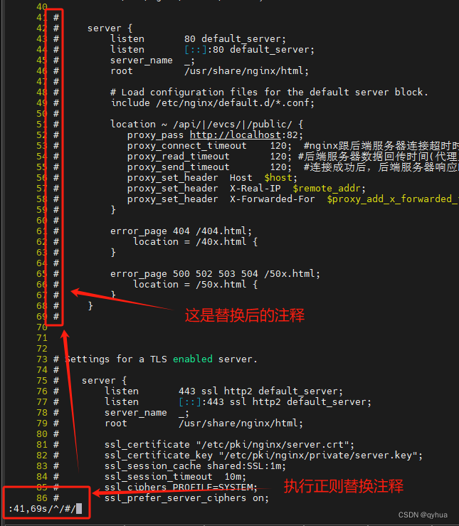 VI 使用替换命令快速注释多行