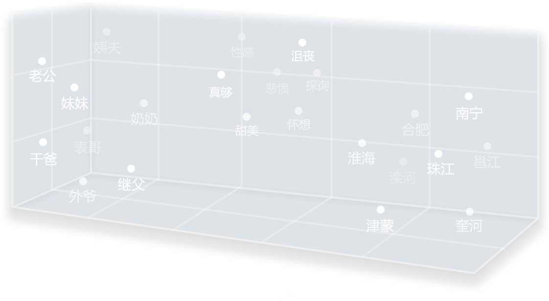 向量化：机器学习中的效率加速器与数据桥梁