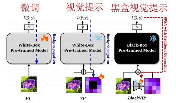 【<span style='color:red;'>提示</span><span style='color:red;'>学习</span><span style='color:red;'>论文</span>】BlackVIP: Black-Box Visual Prompting for Robust Transfer Learning<span style='color:red;'>论文</span>原理