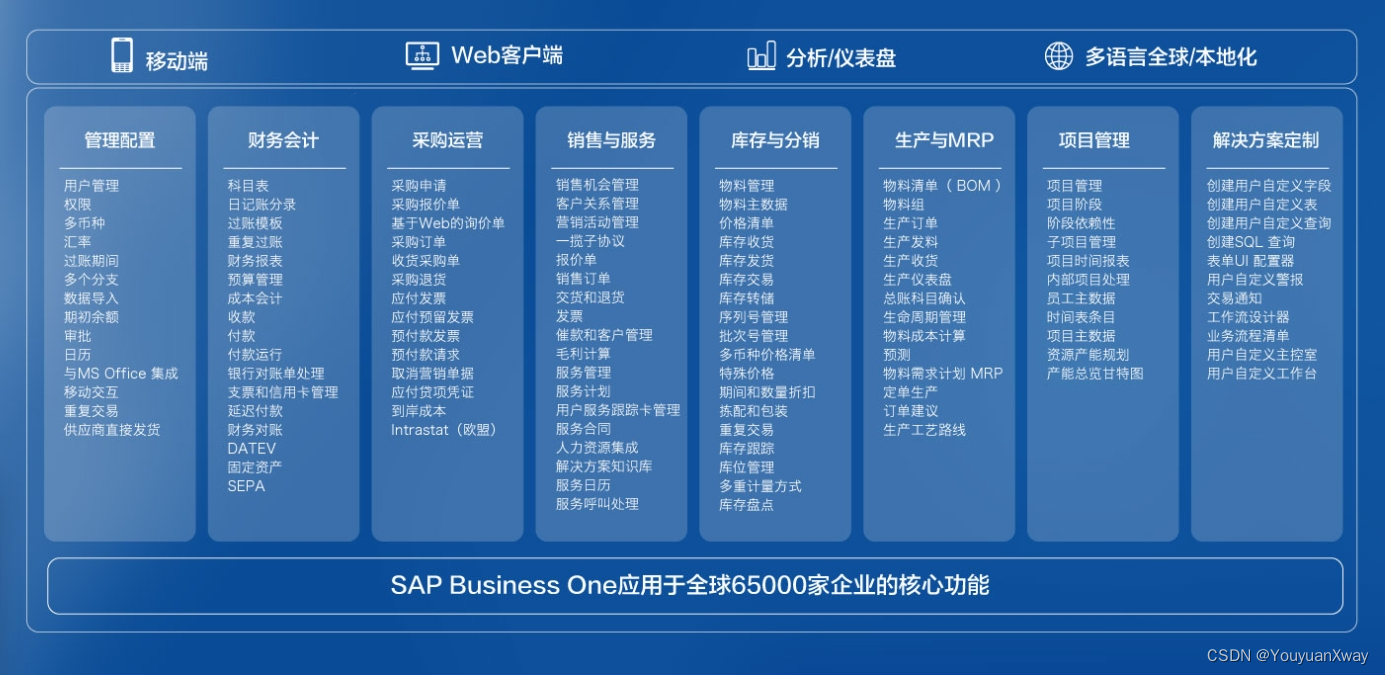 芯片公司SAP管理架构：科技与管理的完美融合