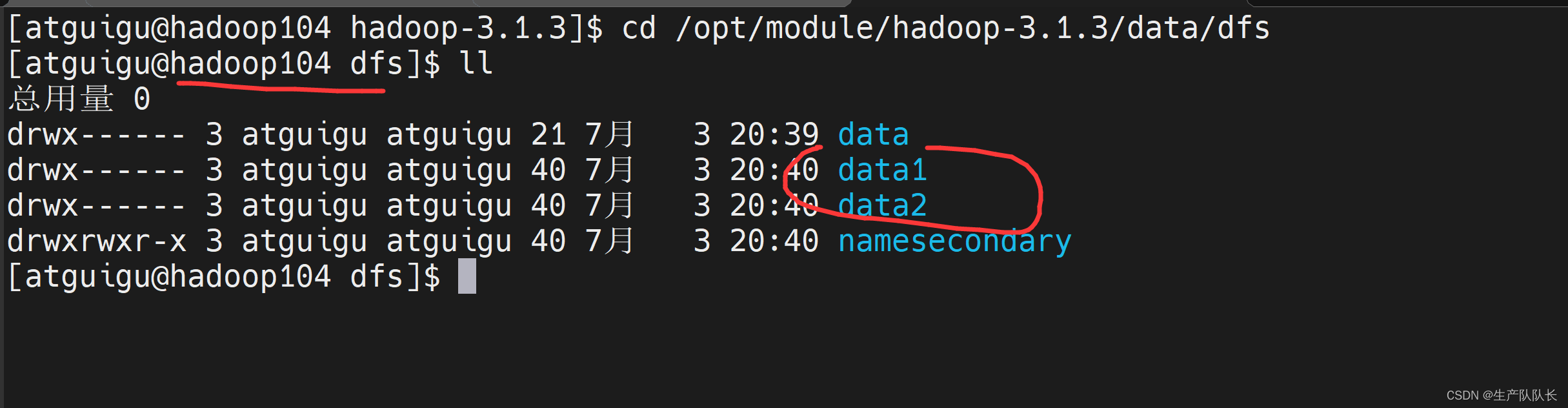 Hadoop3：NameNode和DataNode多目录配置（扩充磁盘的技术支持）