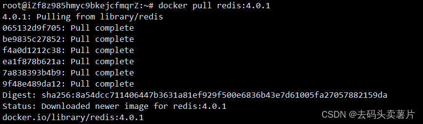 docker下载ridis