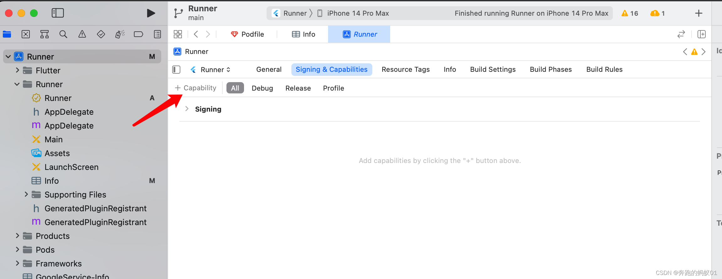 【原创 附源码】Flutter安卓及iOS海外登录--Apple登录最详细流程