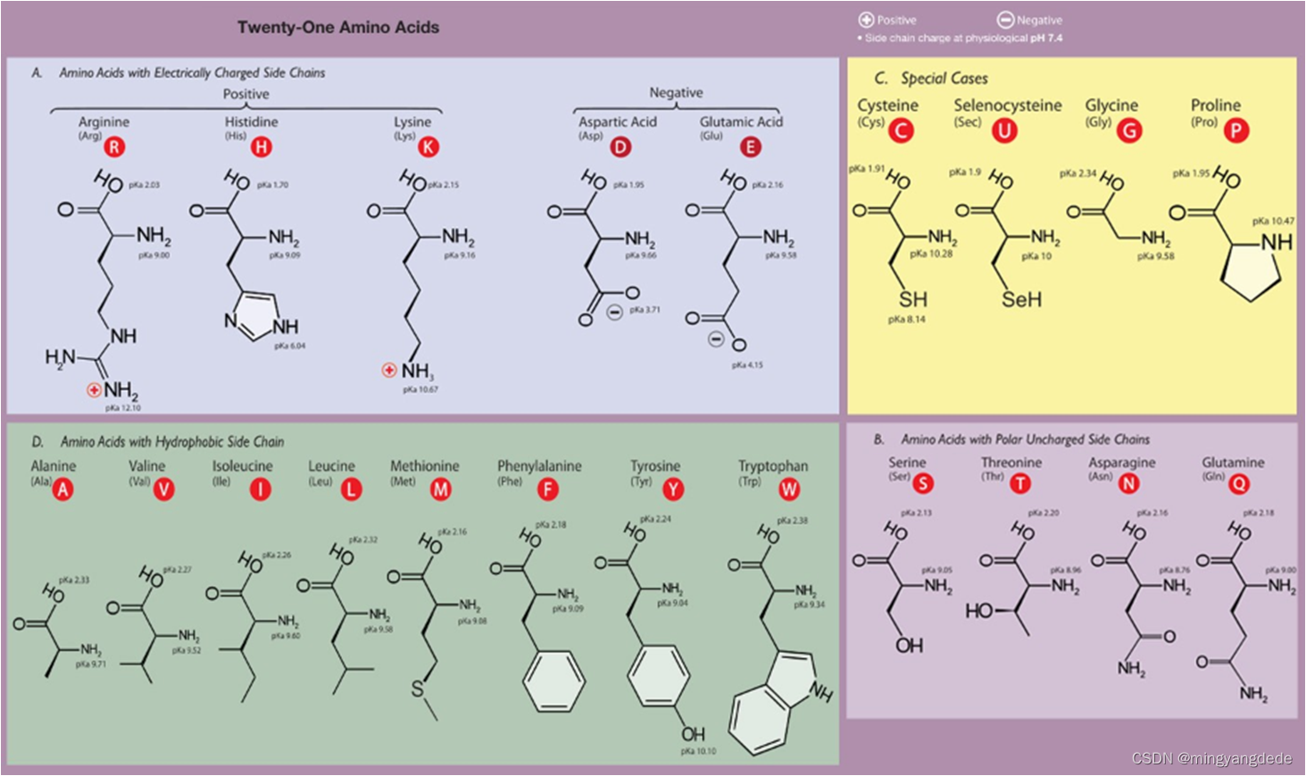 【Vitamin ； amino acid 】