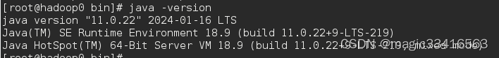 linux 下，Java由Java8升级到Java11，Java不更新版本号