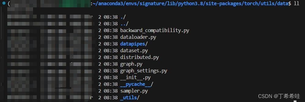 <span style='color:red;'>PyTorch</span>|<span style='color:red;'>Dataset</span>与DataLoader使用、构建自定义<span style='color:red;'>数据</span><span style='color:red;'>集</span>