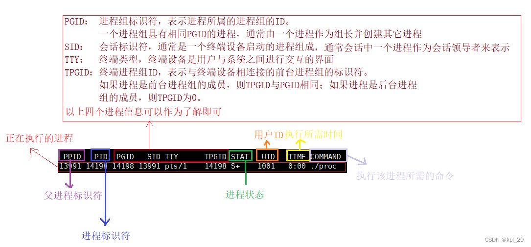 进程的基本信息