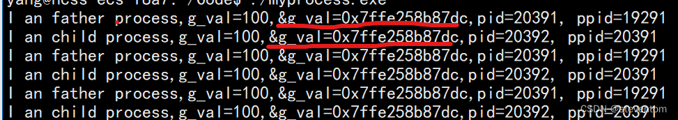 <span style='color:red;'>Linux</span><span style='color:red;'>程序</span><span style='color:red;'>的</span><span style='color:red;'>地址</span><span style='color:red;'>空间</span>，<span style='color:red;'>进程</span>终止