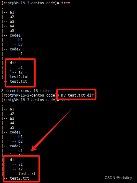 Linux 入门及其基本指令(一文即入门)