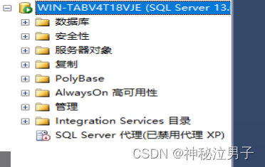 SQL Server 权限管理