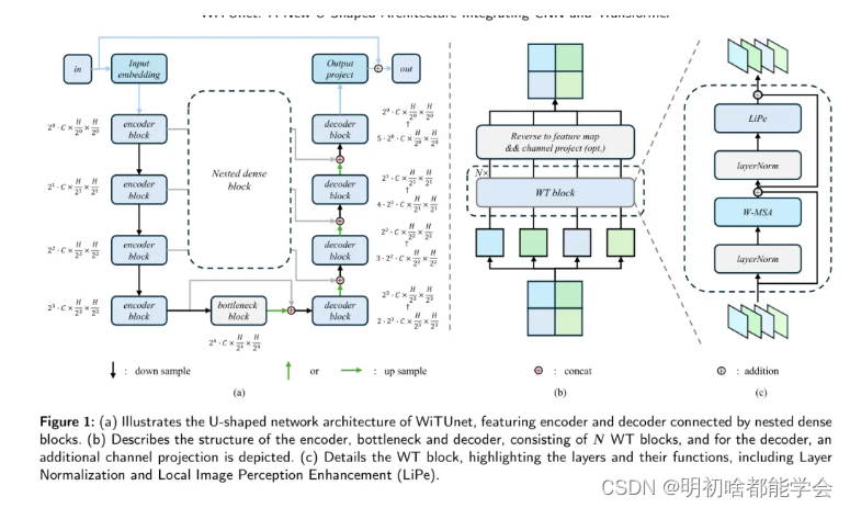 WiTUnet:一种集成CNN<span style='color:red;'>和</span><span style='color:red;'>Transformer</span>的u型<span style='color:red;'>架构</span>，用于改进特征<span style='color:red;'>对齐</span><span style='color:red;'>和</span>局部信息融合