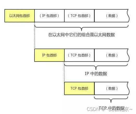 TCP/IP-常用网络协议自定义结构体