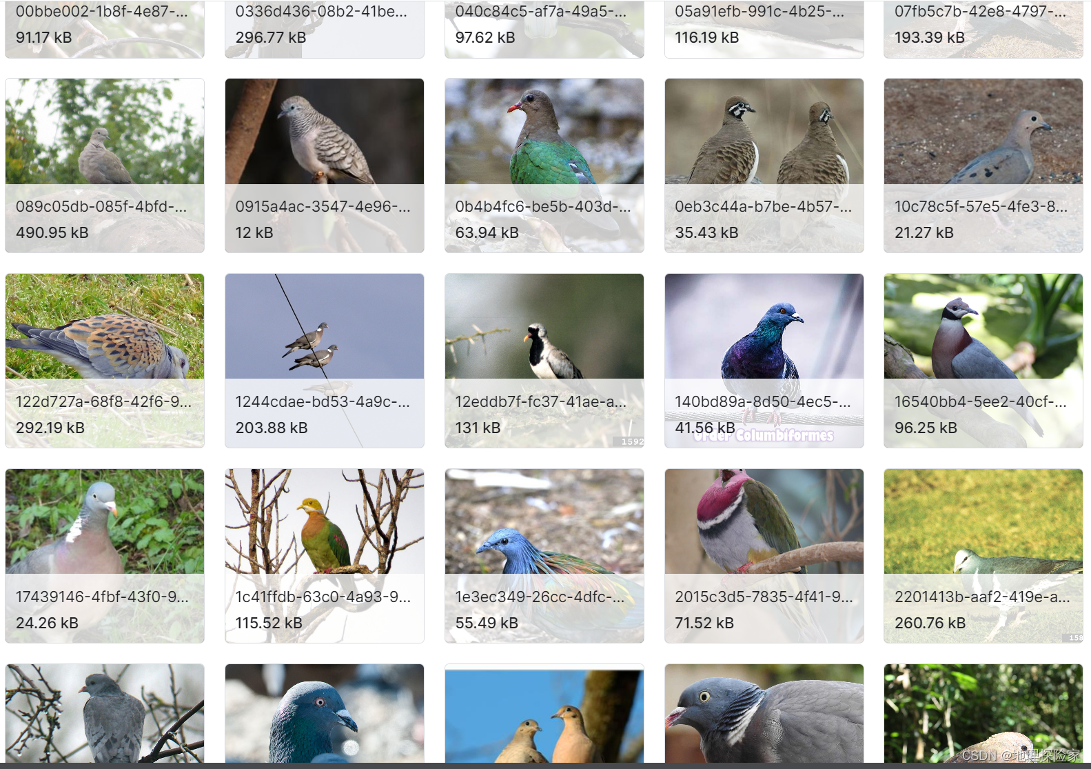 鸟类分类、鸟类声音相关深度学习数据集大合集