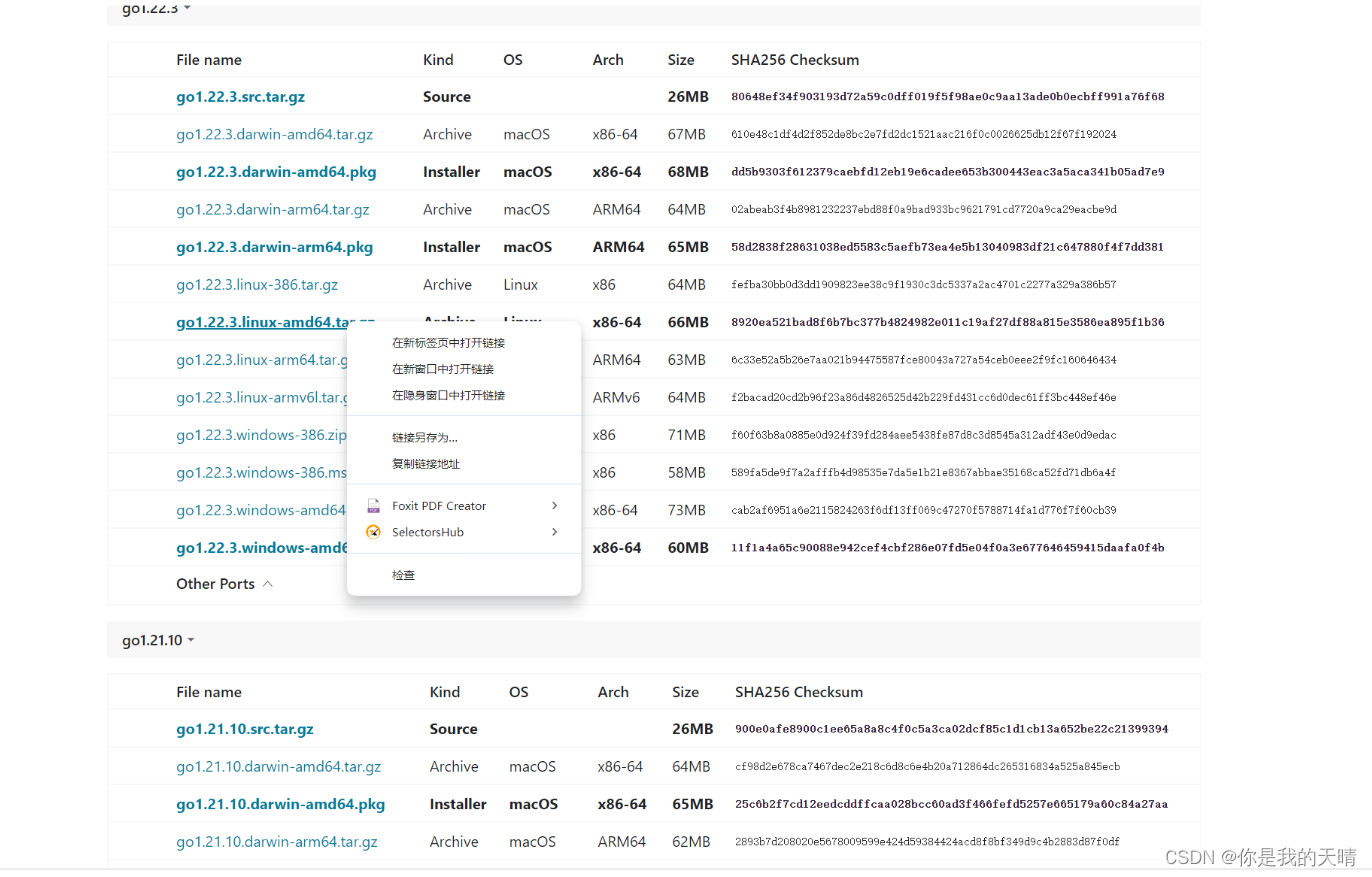 go语言，golang，linux，unbantu安装