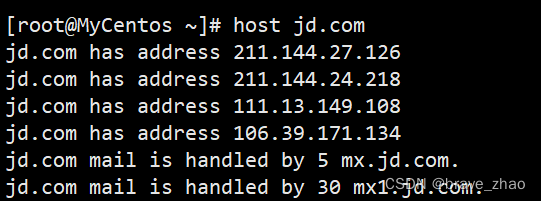 linux解析域名指令 nslookup 或者 host