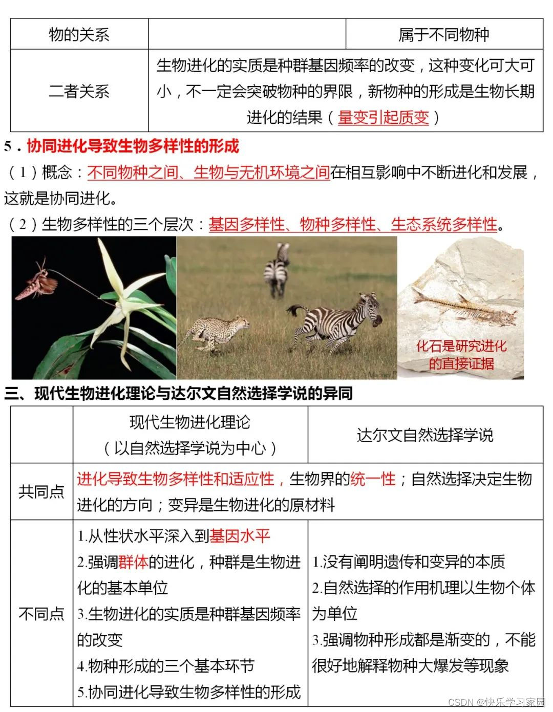 高中生物知识点汇总_高中生物知识_高中生物知识点总结